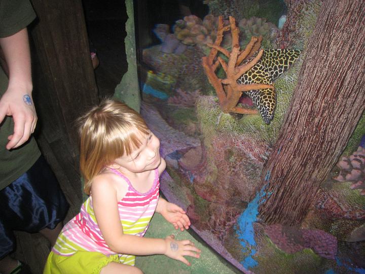 Aquarium 20.JPG